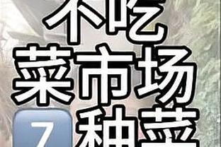 赛季至今主场18胜0负！凯尔特人创队史最佳主场开局纪录